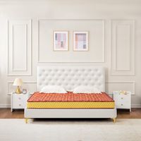 Kurlon Mysore Silk Plus Coir Mattress