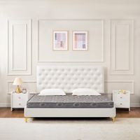 Kurlon Kurlocoir Coir Mattress