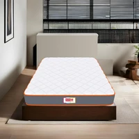 Usha Shriram 7-Zone Dual-Hard and Soft Foam Mattress