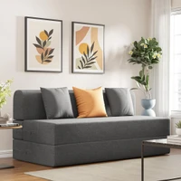 Wakefit Flipper Sofa Cum Bed image