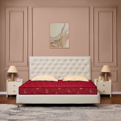 Kurlon Kurlo Bond Coir Mattress image