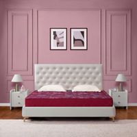 Kurlon Dreamsleep Spring Mattress